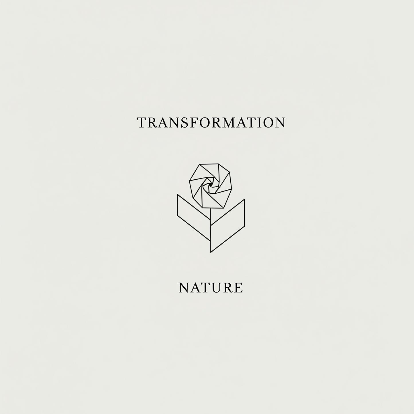 Paper XI: The Nature of Transformation