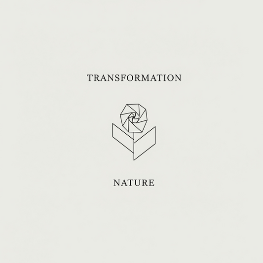 Paper XI: The Nature of Transformation